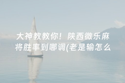 必备教程“微信小程序麻将怎么能调好牌”（透明器教程)