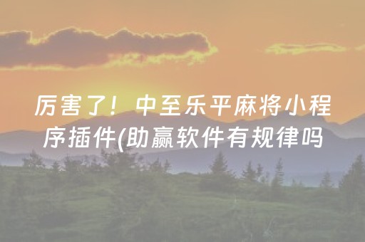厉害了！中至乐平麻将小程序插件(助赢软件有规律吗)