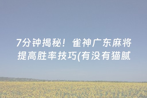 玩家必看攻略“微乐麻将铺牌器购买”（开挂神器下载)