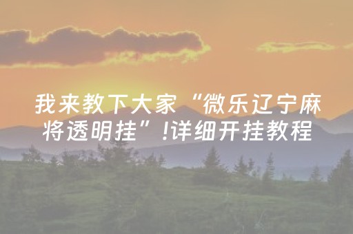 玩家必备十款“微乐广东麻将辅助器插件”（神器最新免费)