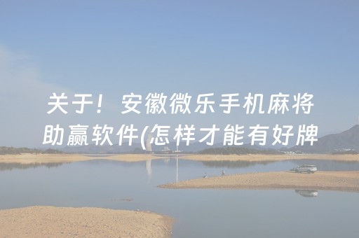 盘点十款“小程序微乐天津麻将必赢神器”（插件可信吗)