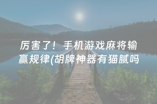 必看盘点揭秘“微乐湖南麻将助攻神器”（挂件神器)