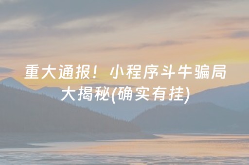 终于懂了“雀神广东麻将助赢神器”（小程序控牌器)