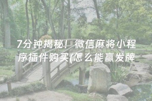 7分钟揭秘“微乐广西麻将自建房输赢规律”（发牌有什么规律吗)