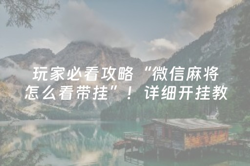 玩家必备十款“微乐三代小程序必赢神器”（怎么调胜率)