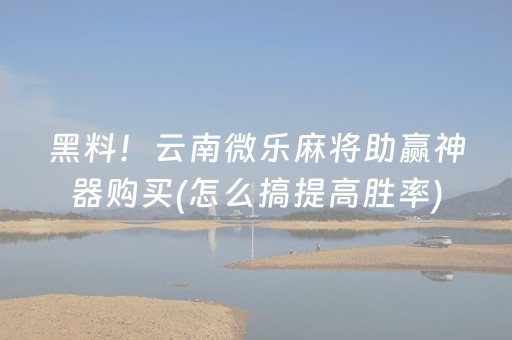 玩家必备“微乐宁夏麻将插件”（做弊器软件下载)