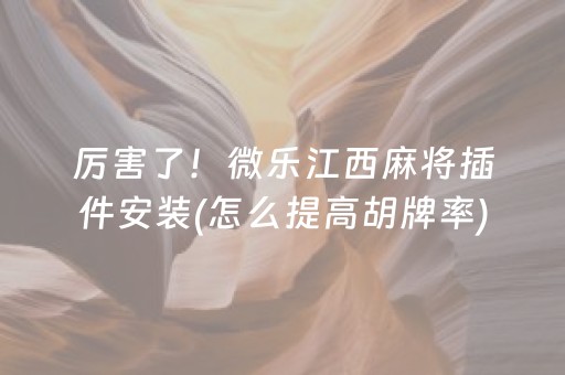 安装教程“小程序微乐麻将的胡牌规则”（小程序辅助软件)