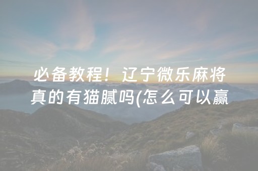 玩家必备十款“微乐斗地主自建房怎么拿好牌”（输赢规律)