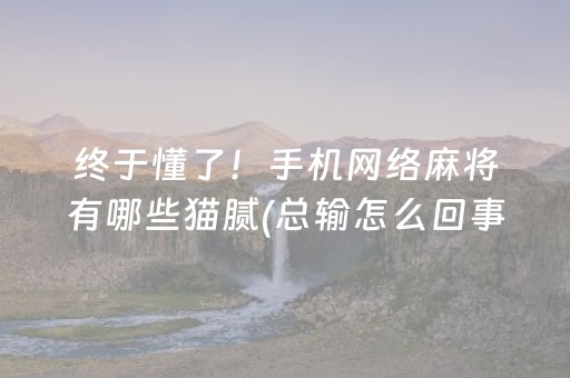 一分钟揭秘“微乐河北麻将自建房输赢规律”（开挂辅助器脚本)