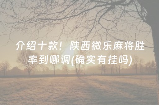 重大通报“微乐锄大地记牌器怎么使用”（胜率到哪调)