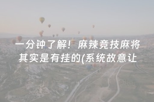 厉害了“微乐河北麻将专用神器”（装挂怎么安装)