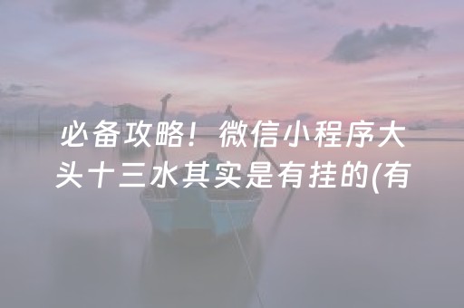 终于懂了“小程序微乐天津麻将必赢神器”（小程序必赢神器)