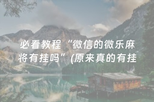安装程序教程“微乐江西红中麻将规律”（小程序辅助软件)