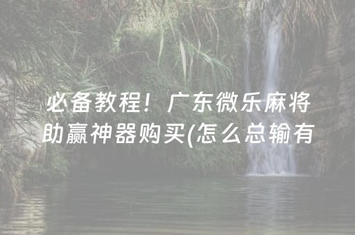 关于“微乐陕西麻将专用神器”（控牌神器)
