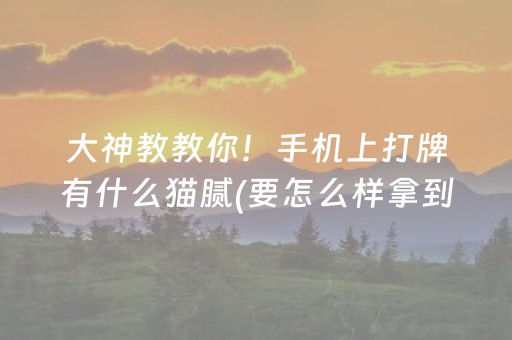 终于懂了“微信麻将小游戏骗局大揭密”（充值会提高胜率么)