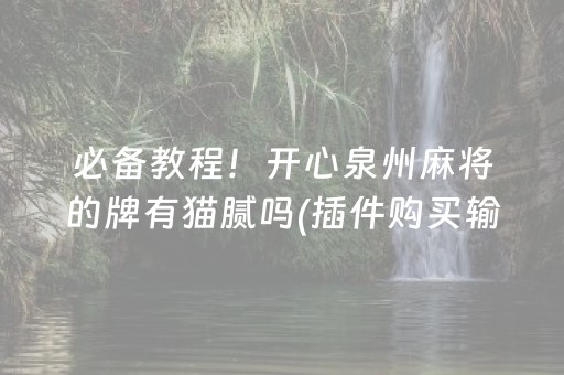 必备教程！开心泉州麻将的牌有猫腻吗(插件购买输赢规律)