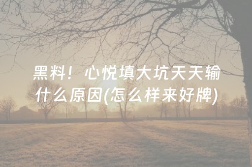 分享玩家攻略“雀神广东麻将助赢神器”（攻略插件)