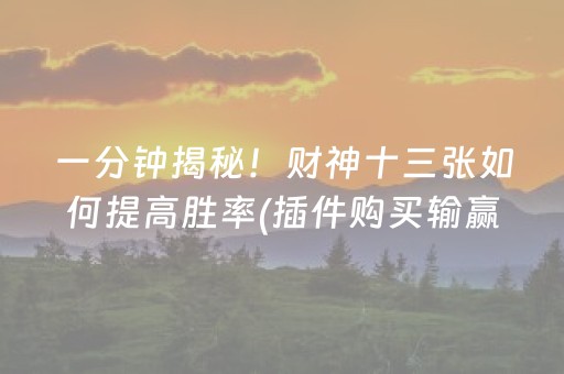 一分钟揭秘！财神十三张如何提高胜率(插件购买输赢规律)