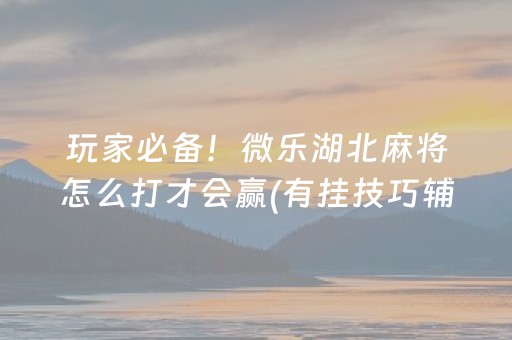 终于懂了“微信财神十三张怎么设置好牌”（必赢神器免费安装)