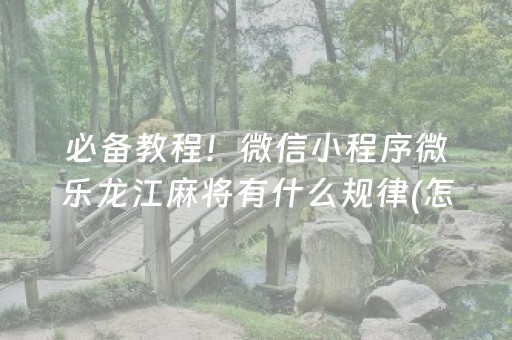 关于“微乐河北麻将自建房胜负规律”（外辅工具)