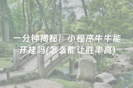 一分钟了解“微信小程序财神十三张辅助器工具”（小程序控牌器)