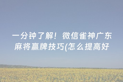 盘点十款“微乐江西红中麻将规律”（专用神器下载)