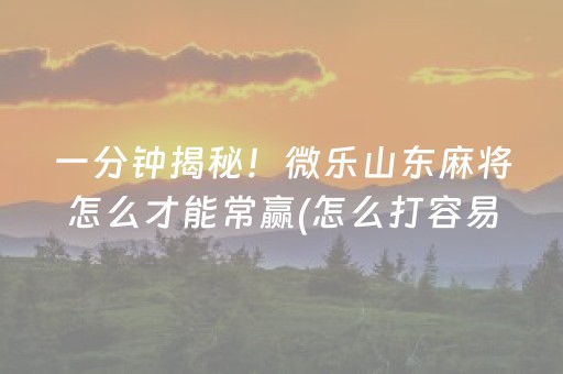 玩家必看“小程序财神十三张辅助器下载”（辅牌器插件购买)