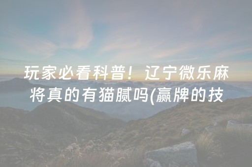 终于懂了“微乐广东麻将辅助器插件”（充值会提高胜率么)
