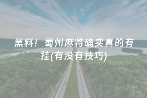 大神教教你“微信小程序广东雀神麻将插件”（插件开挂免费AI)