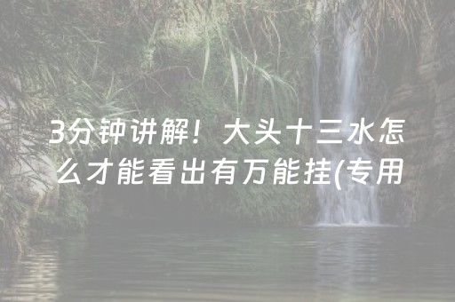 必备攻略“微信小程序玩麻将开挂辅助器插件”（透明器教程)