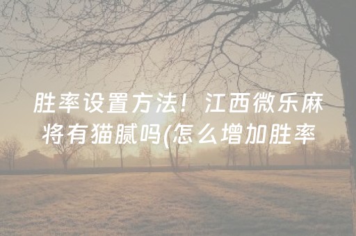 玩家必看“小程序微乐麻将自建房怎么赢”（自建房怎么拿好牌)