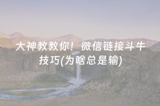 大神教教你“雀神麻将小程序助赢神器购买”（怎么提高胜率)