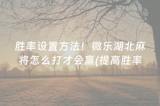 玩家必备攻略“小程序麻将怎么设置才能赢”（怎么能得到好牌)