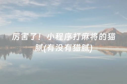 玩家必看“微信雀神麻将小程序赢的技巧规律”（开挂辅助器脚本)