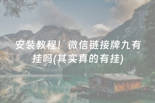 安装程序教程“微乐广东麻将插件下载”（装挂怎么安装)