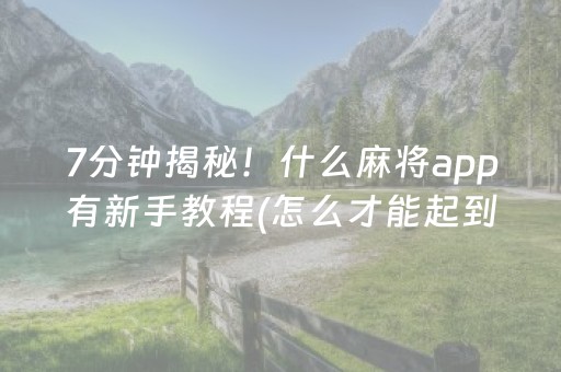 玩家必备十款“微乐四川麻将装挂怎么安装”（怎么让系统给自己好牌)