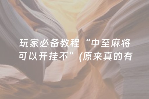 玩家必备教程“中至麻将可以开挂不”(原来真的有挂)-抖音