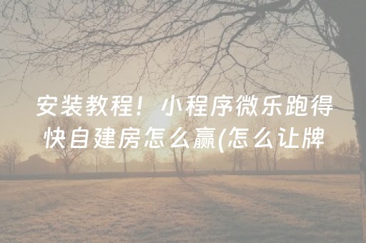 必备教程“小程序微乐麻将的胡牌规则”（插件可信吗)