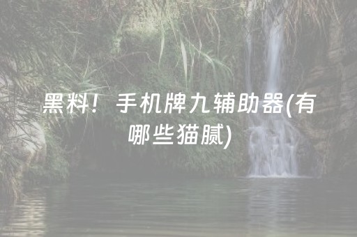 必看盘点揭秘“微信雀神麻将怎么提高胜率”（确实有插件吗)