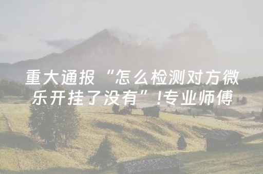 终于懂了“微信微乐保皇助赢神器”（AI辅助胡牌规则)