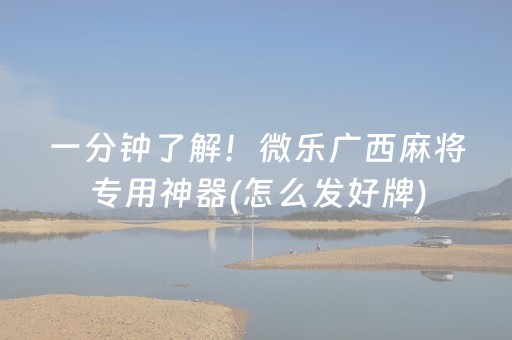 玩家必看“微乐麻将挂件神器”（怎么设置能有好牌)