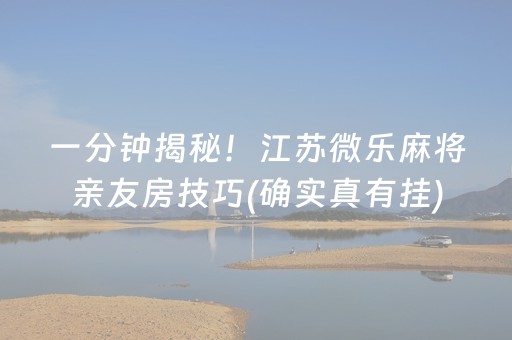 一分钟揭秘！江苏微乐麻将亲友房技巧(确实真有挂)