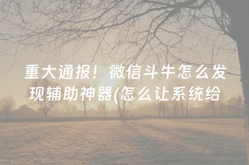 玩家必备教程“微信小程序麻将怎么增加胜率”（好友房怎么才能赢)