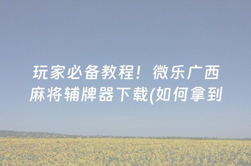 玩家必备教程！微乐广西麻将辅牌器下载(如何拿到好牌)