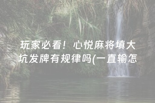 安装程序教程“填大坑辅助器免费版”（自建房怎么拿好牌)