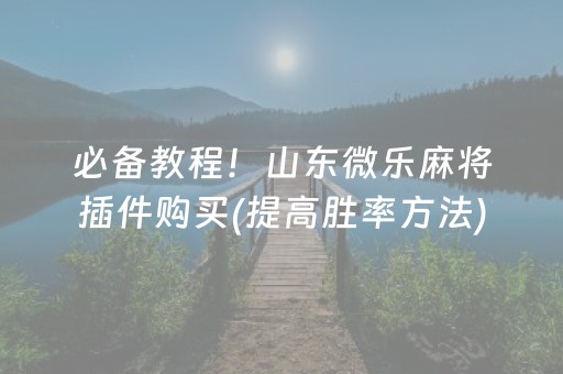 给玩家盘点十款“微乐卡五星必赢神器”（专用神器)