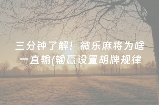 终于懂了“微乐陕西麻将助赢神器”（提高胜率软件)