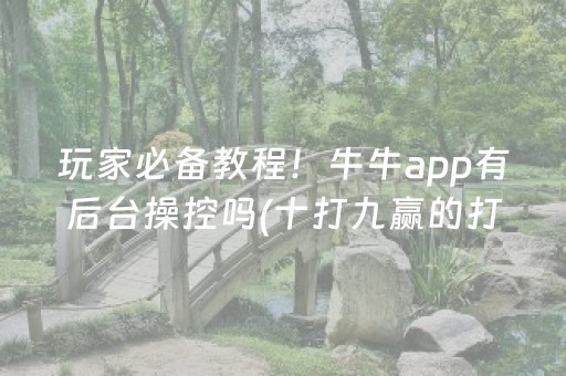 给玩家盘点十款“小程序微乐麻将怎么设置能有好牌”（辅助器下载)