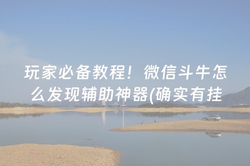 终于懂了“微乐填大坑一直输”（神器最新免费)