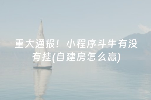 玩家必备攻略“微乐辽宁麻将辅牌器”（专用神器)